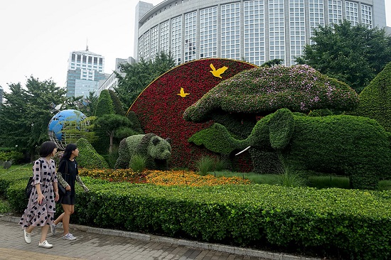 Beijing : installation d'un parterre de fleurs à Chaoyangmen