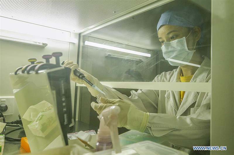 Laboratoire de PCR de l'hôpital de Beijing mis en service pour effectuer des tests d'acides nucléiques pour le COVID-19